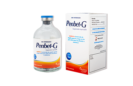 Penbet G 100 mL