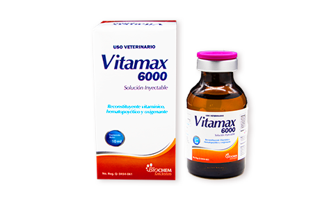 Vitamax 6000 10 mL