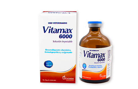 Vitamax 6000 100 mL