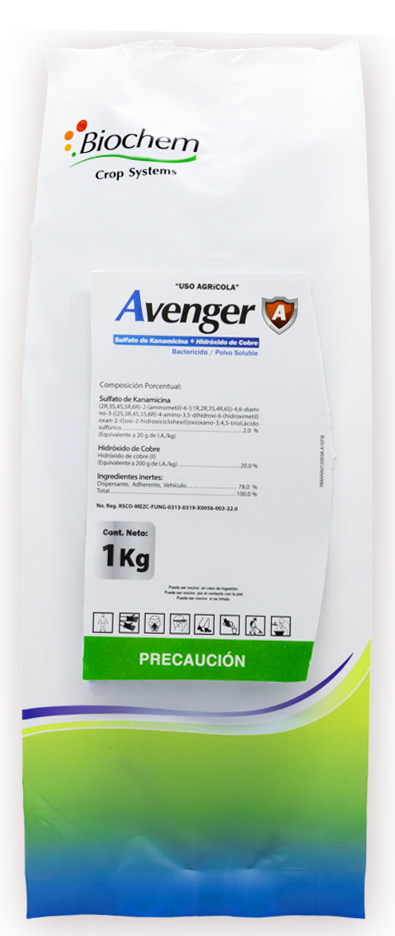 Avenger 1 kg