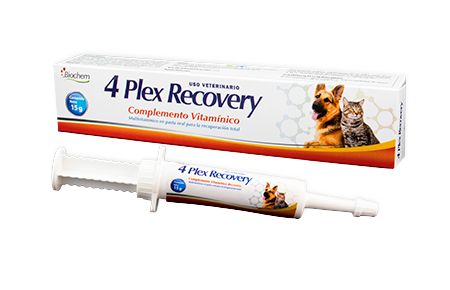 4 plex recovery 15 g