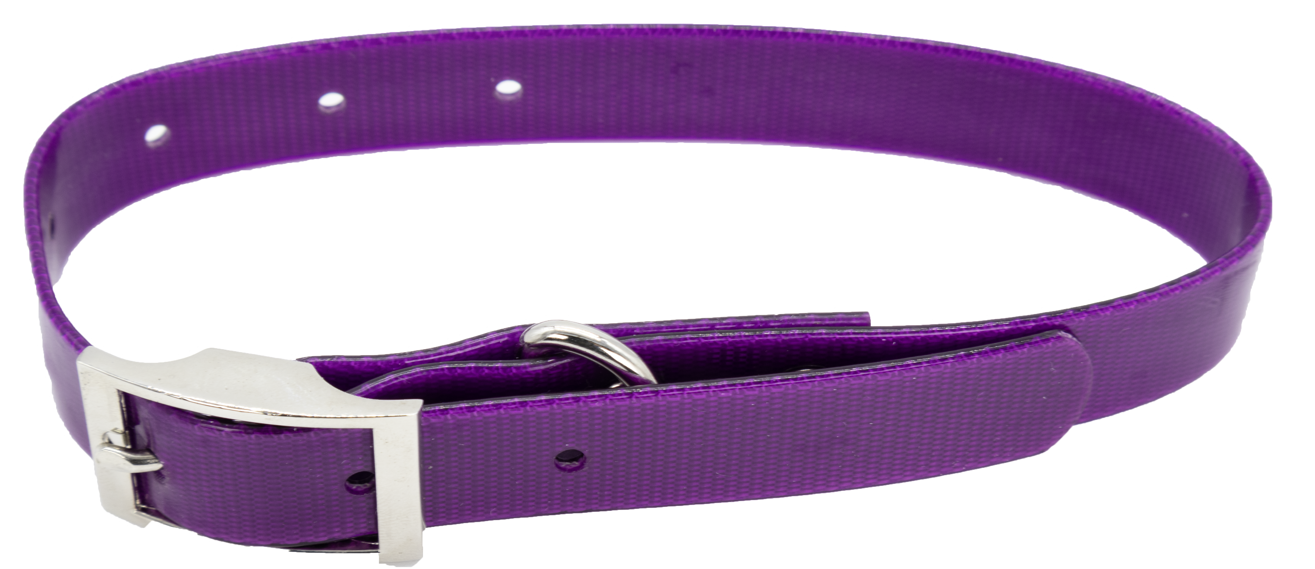 Collar Perro SS Mor Ch