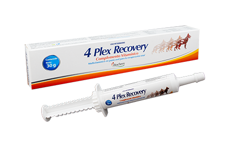 4 plex recovery 30 g