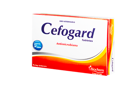 Cefogard 24 tabs