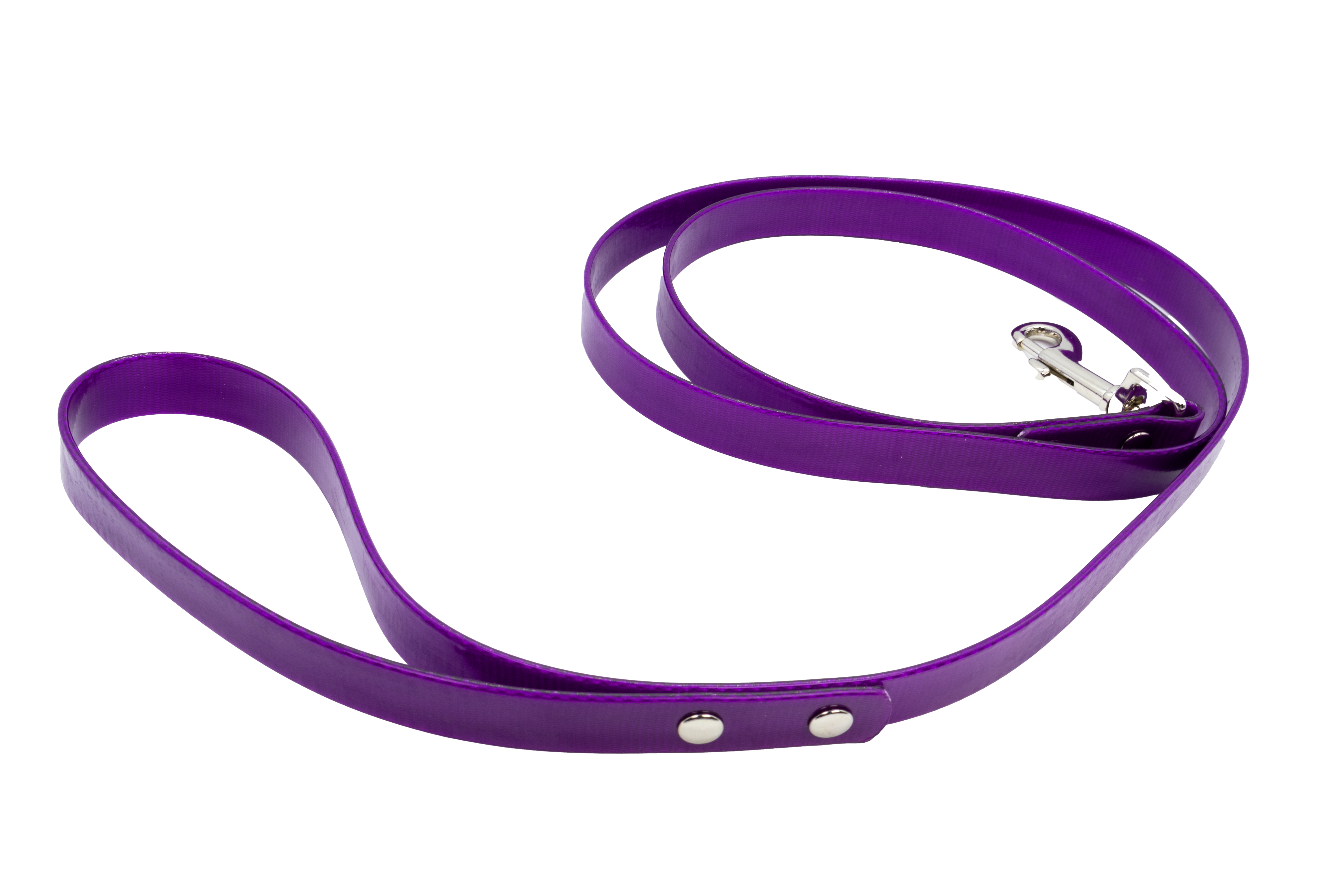 Correa Perro SS Mor L