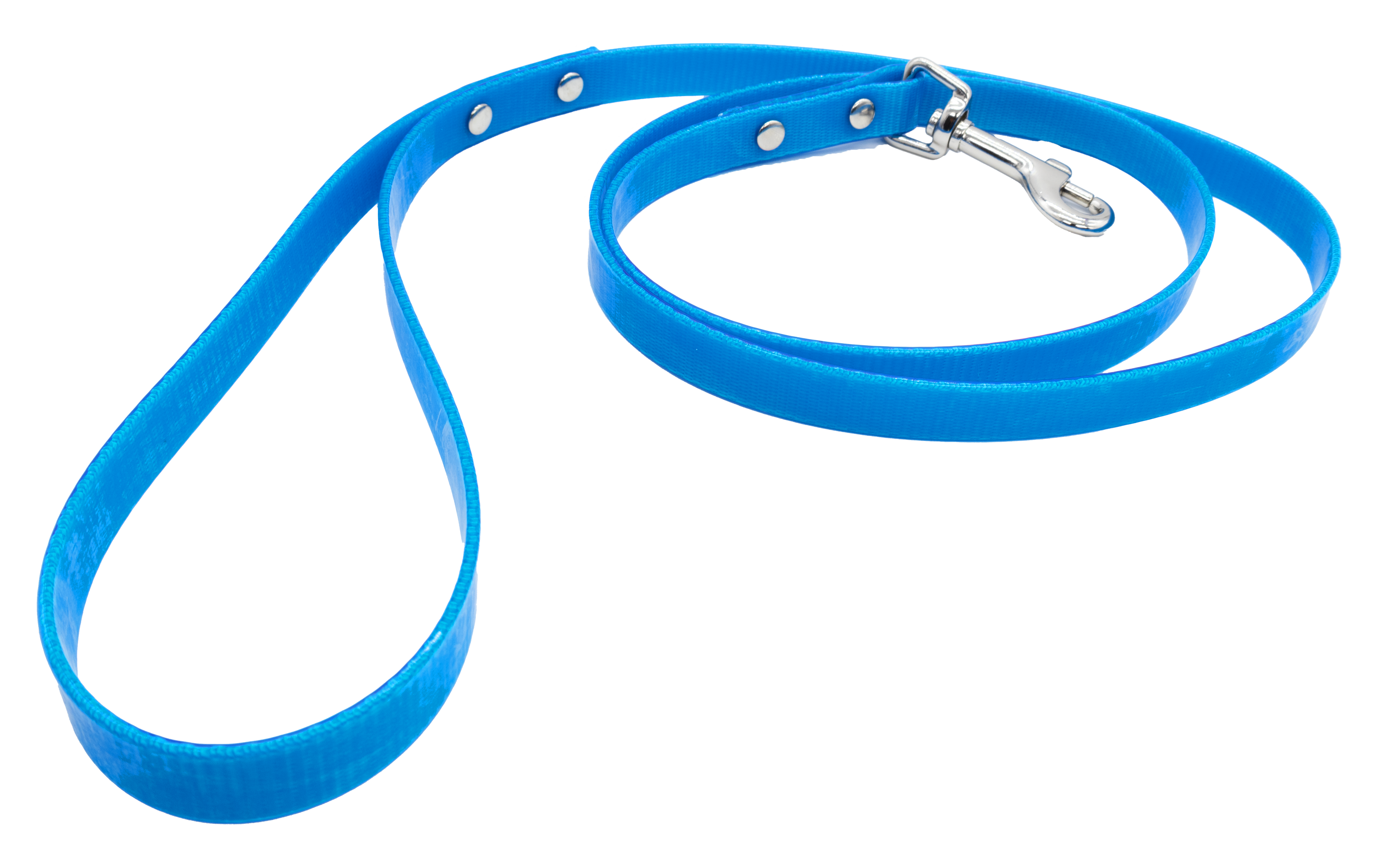 Correa Perro SS Azu Neo L