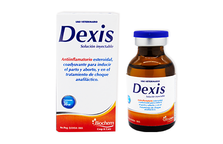 Dexis 20 mL