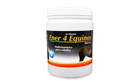Ener 4 Equinox 1 kg