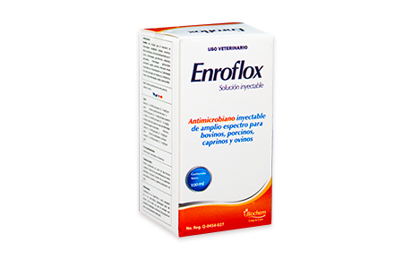 Enroflox 100 mL