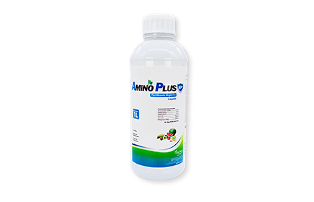 Amino plus 1 L