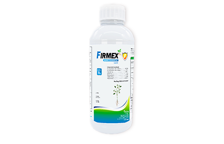 Firmex 1 L