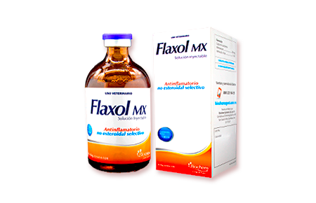 Flaxol MX 100 mL