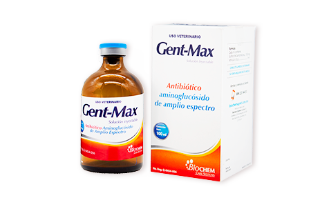Gent Max 100 mL