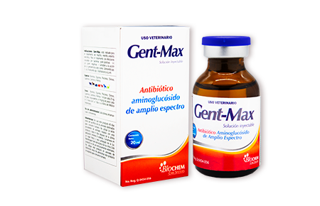 Gent Max 20 ml