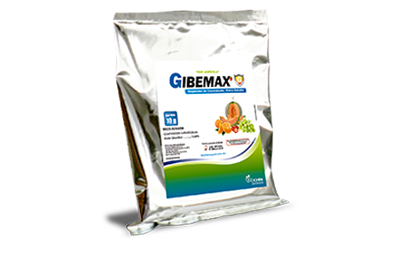 Gibemax 10 g (10 sobres)