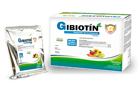Gibiotin 12 g (25 sobres)