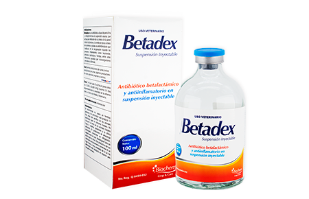 Betadex 100 mL