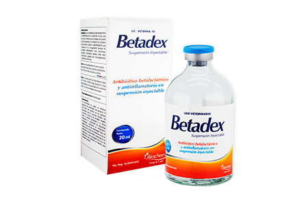 Betadex 20 mL
