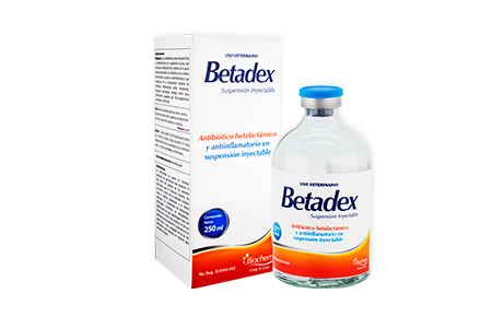 Betadex 250 mL