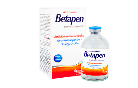 Betapen 100 mL