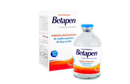 Betapen 20 mL