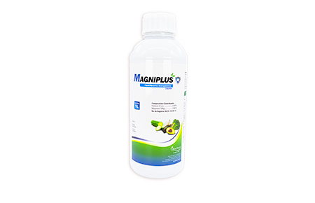 Magniplus 1 L