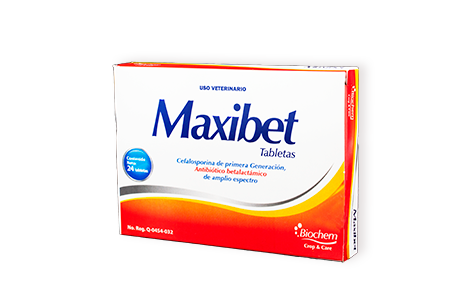 Maxibet 24 tabs