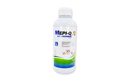 MepiQ 1 L