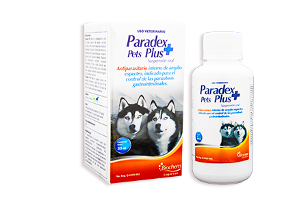 Paradex Pets Plus 100 mL